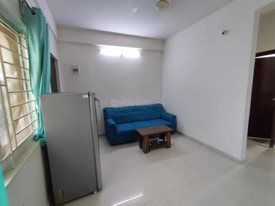 Hall Image of 550 Sq.ft 1 BHK Apartment / Flat for rent in Brookefield Bengaluru for Rs. 20000