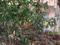 Sahakaranagar Plot View 2