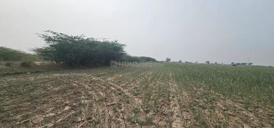 Lothal Plot View 3