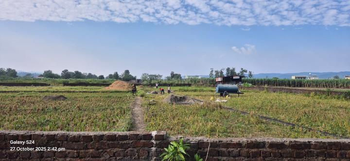 Doiwala Main Image 1