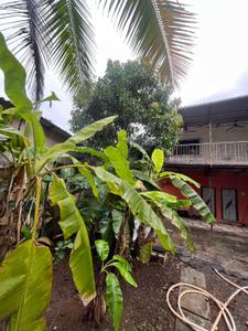 Image of 3500 Sq.ft 6 BHK Villa for sale in Nagaon, Alibag for Rs. 12000000