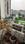 garden view campus Balcony 1