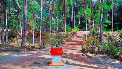 Shri Ganesh House More Images 2