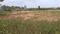 Panjappur Plot View 2