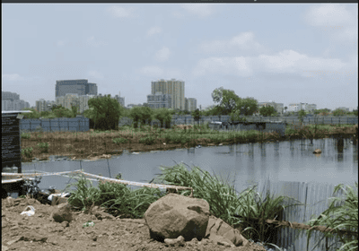 Image of 1468 Sq.ft 3 BHK Apartment / Flat for sale in Gaikwad Florio, Tathawade, Pune for Rs. 11600000
