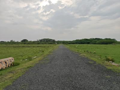 Image of 700 Sq.ft Residential Plot / Land for sale in Chengalpattu, Chennai for Rs. 1049304