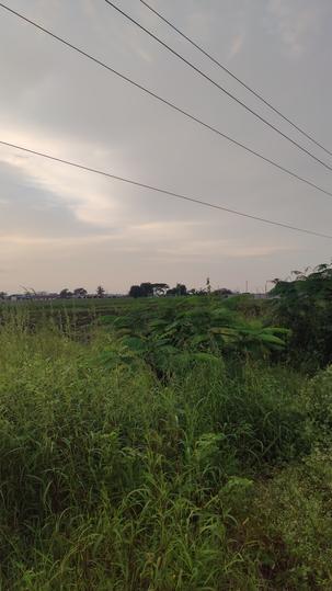 Chevella highway Main Image 1