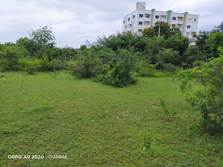 Shamirpet Main Image 1