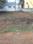 Moti Nagar Plot View 2