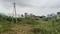 Dinnedevarapadu Plot View 2
