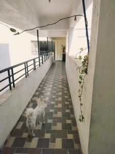 Balcony Image of 605 Sq.ft 1 BHK Apartment / Flat for sale in Fursungi Pune for Rs. 3200000