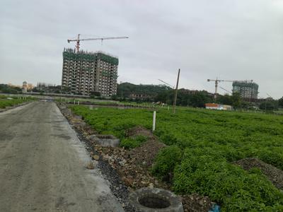 Image of 800 Sq.ft Residential Plot / Land for sale in Rajendra Nagar, Indore for Rs. 2740000