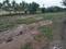 ProProperties Plot View 2