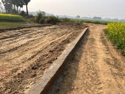 Bela Plot View 3