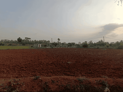 Devanahalli Plot View 3