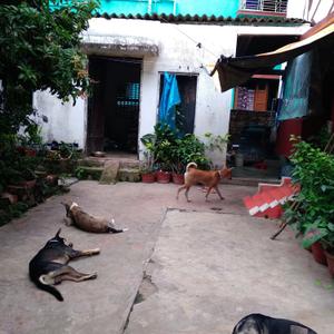Image of 2385 Sq.ft 3 BHK Independent House for sale in New Barrakpur, Kolkata for Rs. 9800000