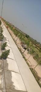 Image of 1000 Sq.ft Residential Plot / Land for sale in Goodluck Residency Phase 3, Kandul, Raipur for Rs. 3000000