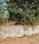 Jublee hills plote for sale Main Image 1