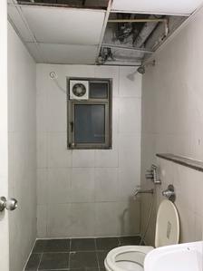 Common Bathroom Image of 909 Sq.ft 2 BHK Apartment / Flat for rent in Lodha Casa Rio Gold, Palava Phase 1 Thane for Rs. 17500