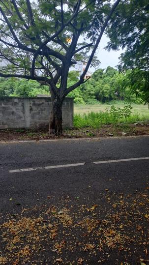 Seaclif Main Image 1