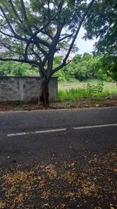 Image of 7100 Sq.ft Residential Plot / Land for sale in Injambakkam, Chennai for Rs. 120000000
