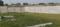 Dhurwa Main Image 1