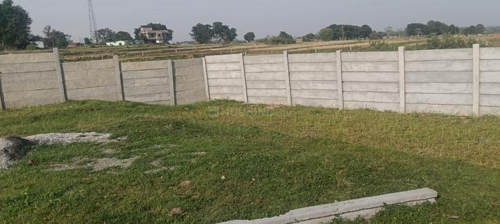 Dhurwa Main Image 1