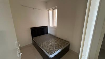 Bedroom Image of 900 Sq.ft 3 BHK Apartment / Flat for rent in Signature Global Golf Green, Sector 79 Gurgaon for Rs. 25000
