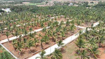 Image of 2400 Sq.ft Residential Plot / Land for sale in Anaikatti, Coimbatore for Rs. 2500000