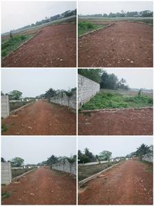 Siula Plot View 2