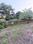 Dasrath Pally, Bhanu Nagar Main Image 1
