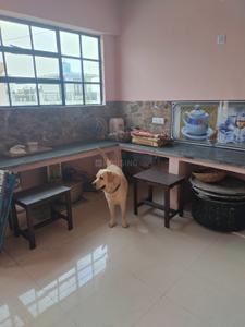 Lane 3 Kitchen 1