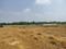 Knowledge Park 3 Plot View 2