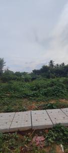 Residential Plot
