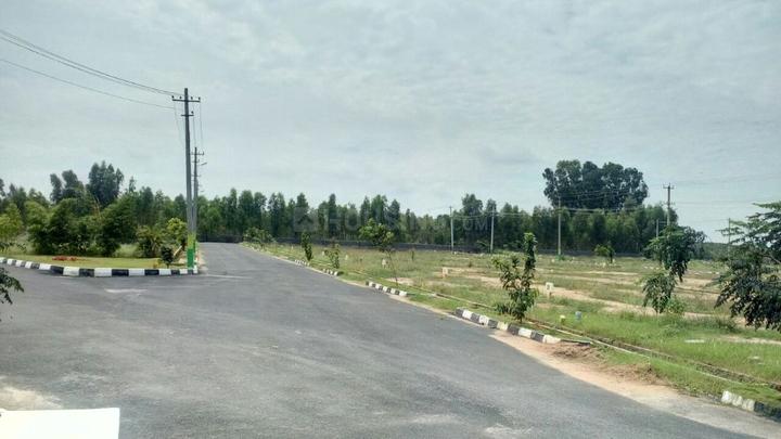 Spring Serenity Main Image 1