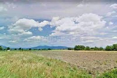 Image of 900 Sq.ft Residential Plot / Land for sale in ASM Shree Jaswant Garden, Sector 14, Panchkula for Rs. 7431111