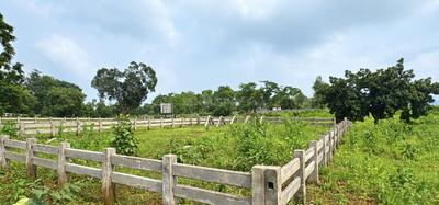 Image of 2530 Sq.ft Residential Plot / Land for sale in Karjat, Thane for Rs. 2530000