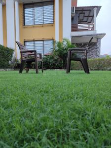 Image of 2727 Sq.ft 1 BHK Farm House for sale in Olpad, Surat for Rs. 3800000