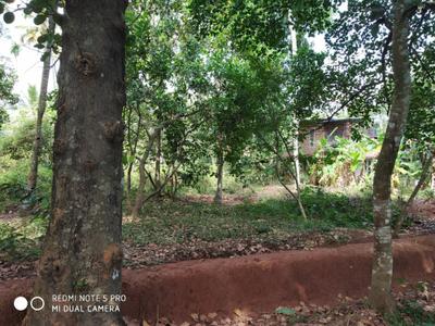 Image of 8712 Sq.ft Residential Plot / Land for sale in Koottikada, Kollam for Rs. 9000000