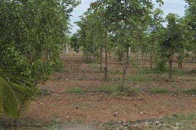 Image of 9600 Sq.ft Residential Plot / Land for sale in Chengalpattu, Chennai for Rs. 2400000