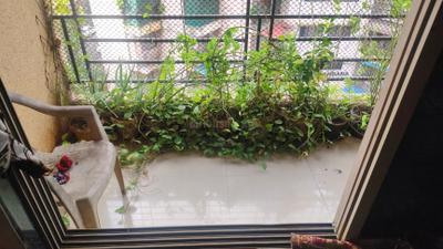 Balcony Image of 1137 Sq.ft 2 BHK Apartment / Flat for rent in Kalamboli Navi Mumbai for Rs. 35000