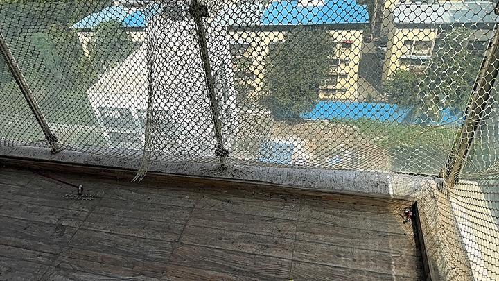 VM Mohan Palms Main Image 1