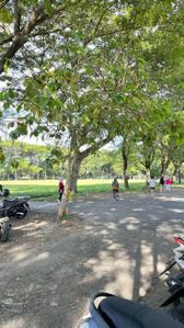 Image of 450 Sq.ft Residential Plot / Land for sale in Sector 93B, Noida for Rs. 168000000