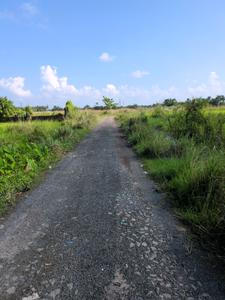 Image of 1440 Sq.ft Residential Plot / Land for sale in Wander Valley, Joka, Kolkata for Rs. 555555