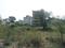 HUDA PLOTS SECTOR 75 Plot View 2