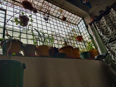 Balcony Image of 1150 Sq.ft 3 BHK Apartment / Flat for sale in EAPL Sri Tirumala Harmony, Kapra Secunderabad for Rs. 6000000