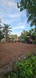 Chevayur Plot View 2