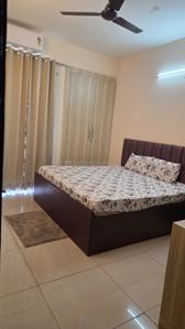 Bedroom Image of 1300 Sq.ft 3 BHK Apartment / Flat for rent in Ocean Golden I Phase I, Tech Zone Greater Noida for Rs. 13500