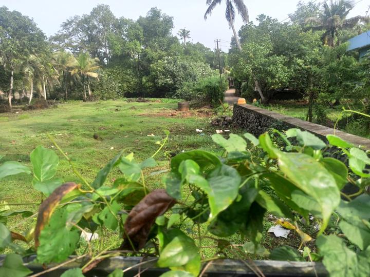 Kummanam Main Image 1