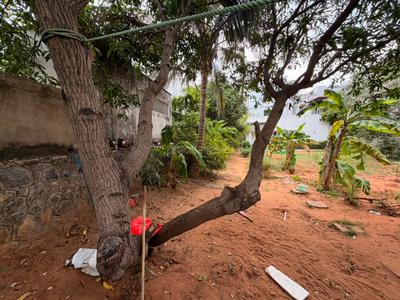 Image of 7200 Sq.ft Residential Plot / Land for sale in Injambakkam, Chennai for Rs. 90000000